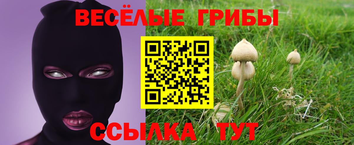 Галлюциногенные грибы мицелий Усть-Илимск